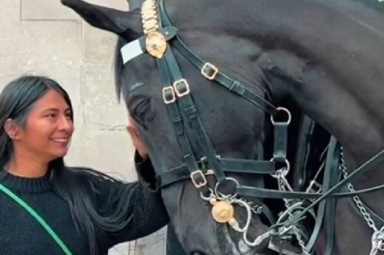 Video: Conexión entre una turista y un caballo de la Guardia Real causa ternura