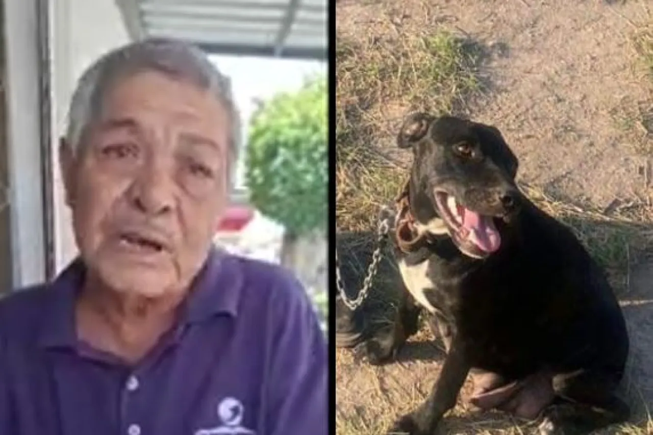 Abuelito pide ayuda para albergar a su perrita y a sus cachorros