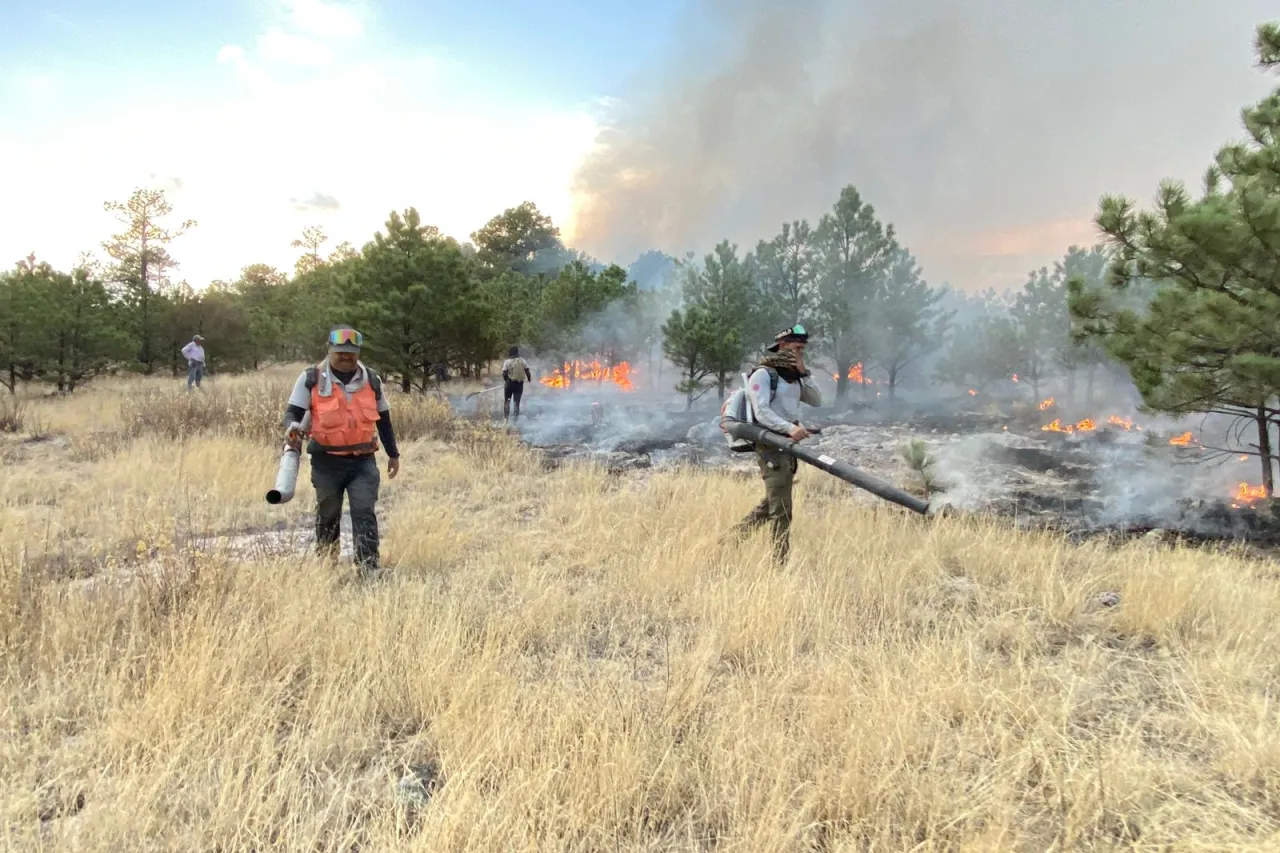 Continúa PC con asistencia a áreas afectadas por incendio en Bocoyna