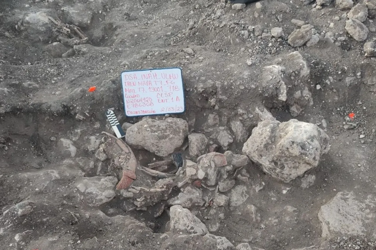 Descubren 26 entierros prehispánicos durante trabajos del Tren Maya