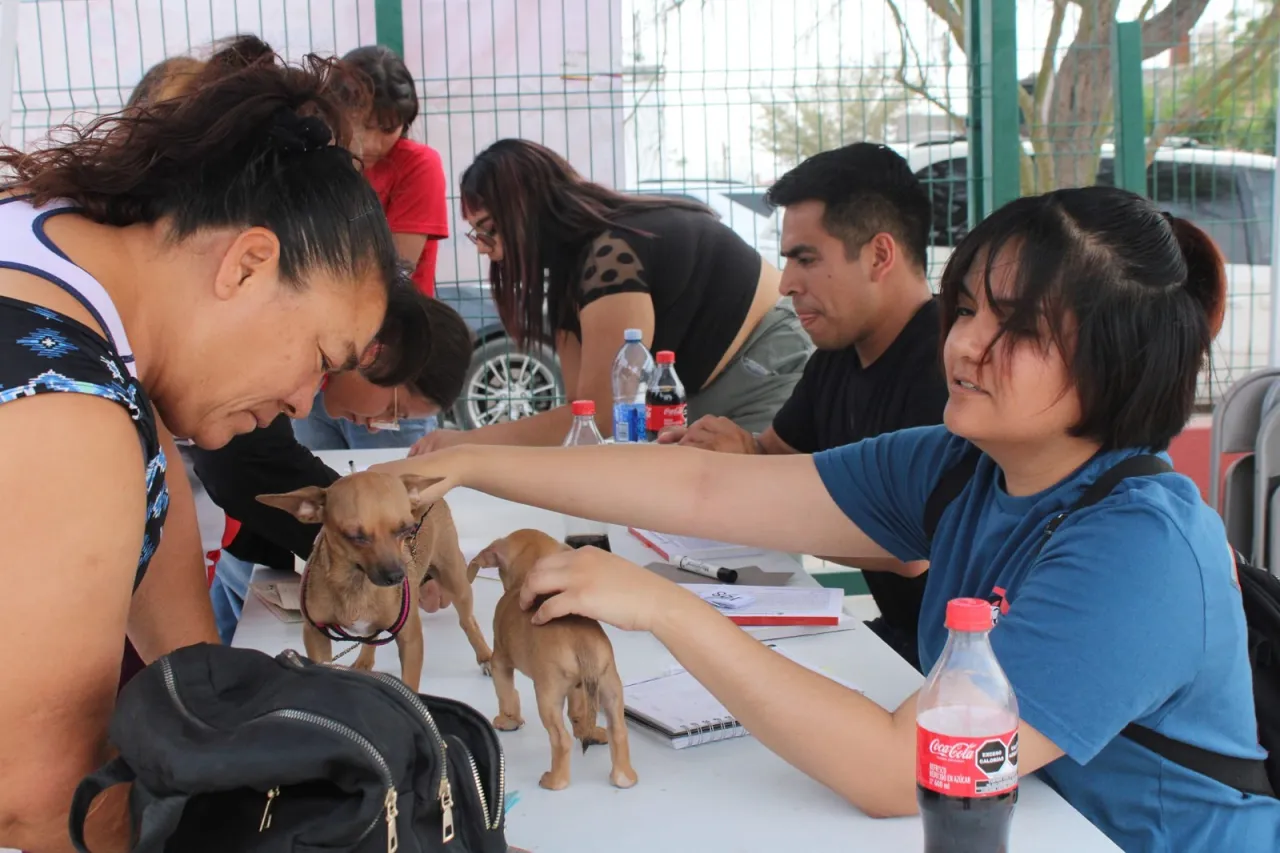 Anuncian Jornada De Esterilización De Mascotas En El Km 20