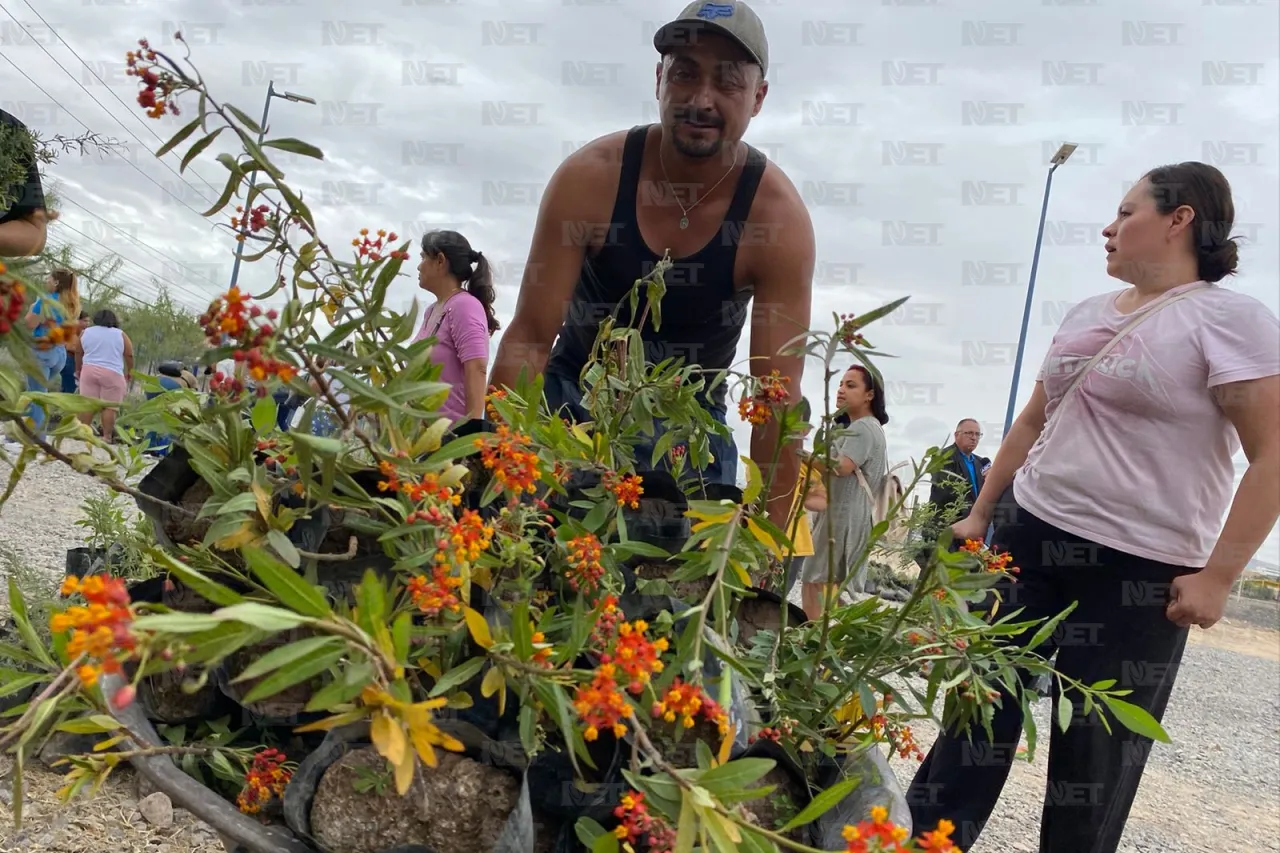 Regalan árboles en el Parque Central; buscan reforestar Juárez 