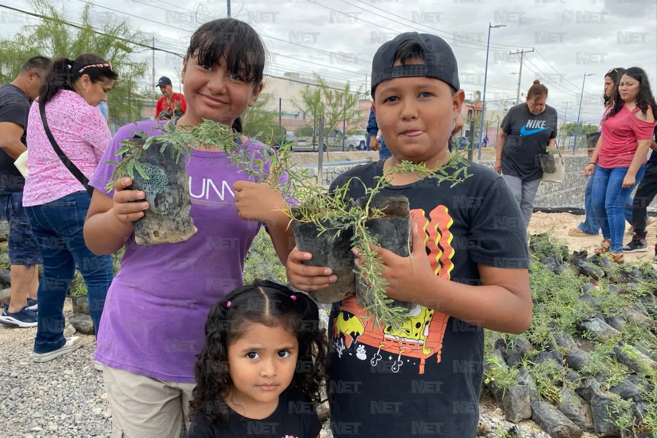 Regalan árboles en el Parque Central; buscan reforestar Juárez 