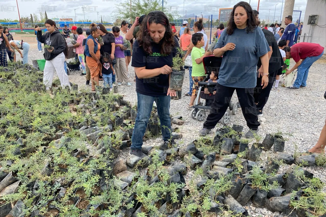 Regalan árboles en el Parque Central; buscan reforestar Juárez 