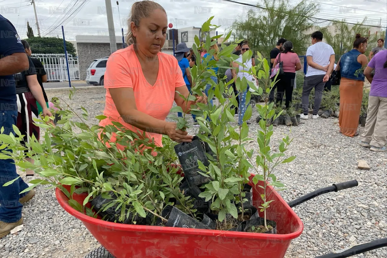 Regalan árboles en el Parque Central; buscan reforestar Juárez 