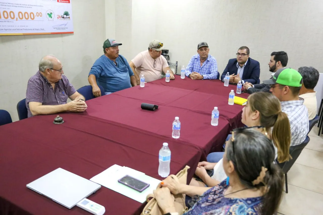 Usarán insectos para reducir uso de pesticidas en Nogaleras