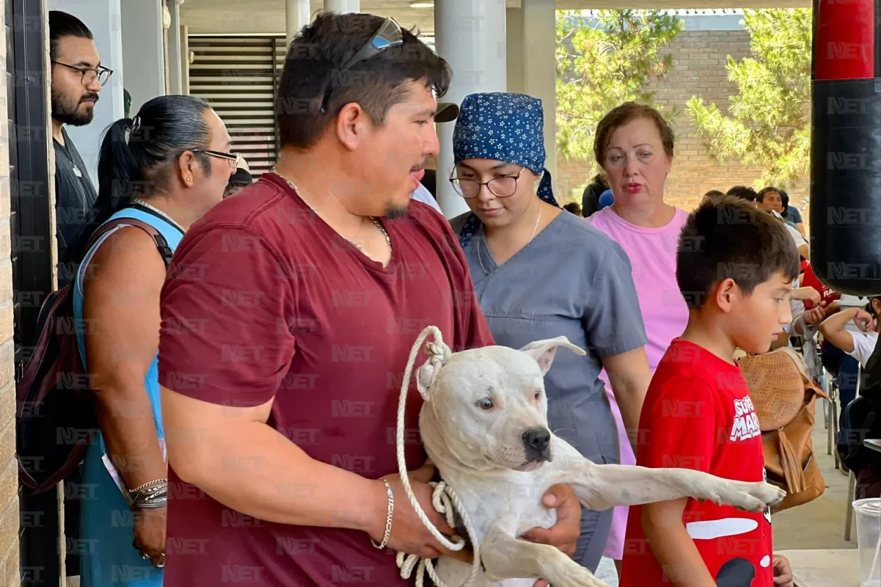 Continúan esterilizaciones gratuitas sin registro en Zaragoza