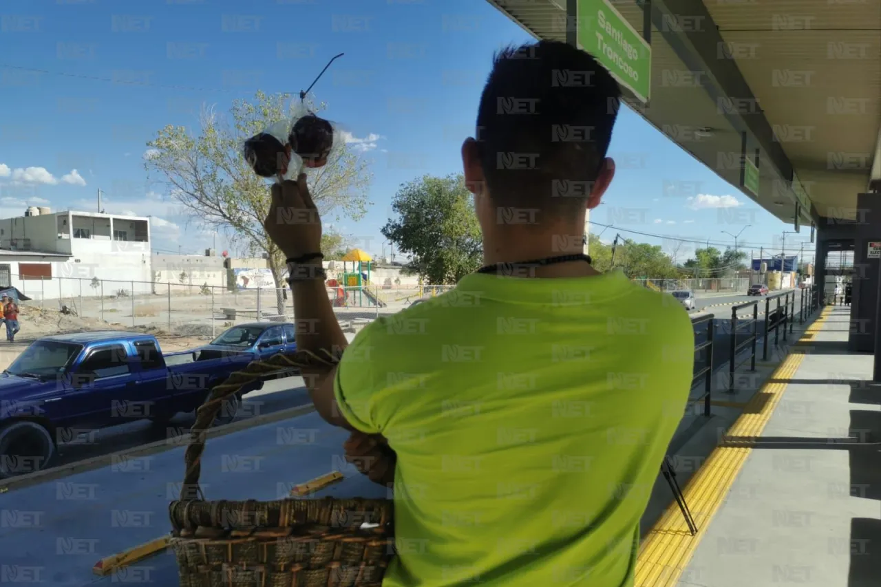 Una manzanita 'Del Edén' para pecar a gusto