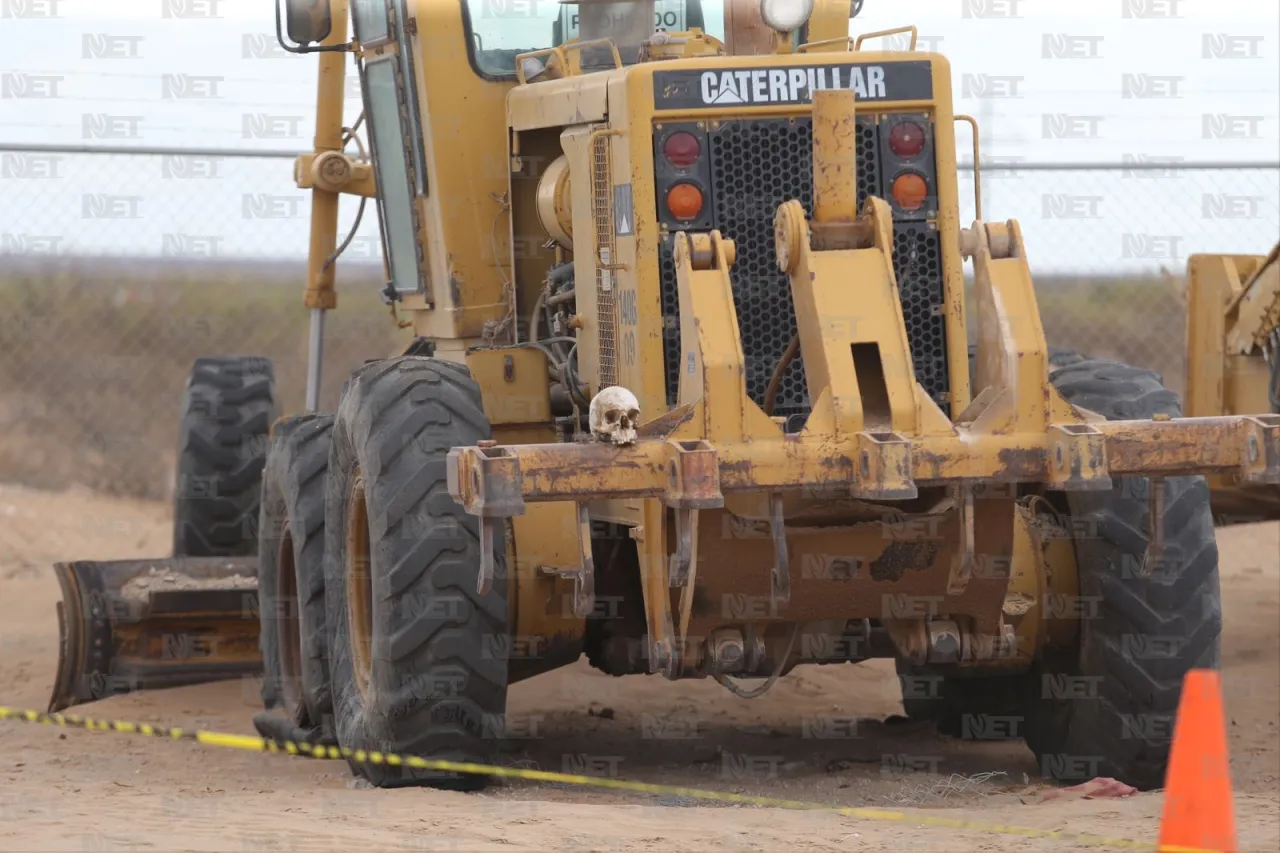 Perros jugaban con cráneo en km 23 de la carretera a Casas Grandes