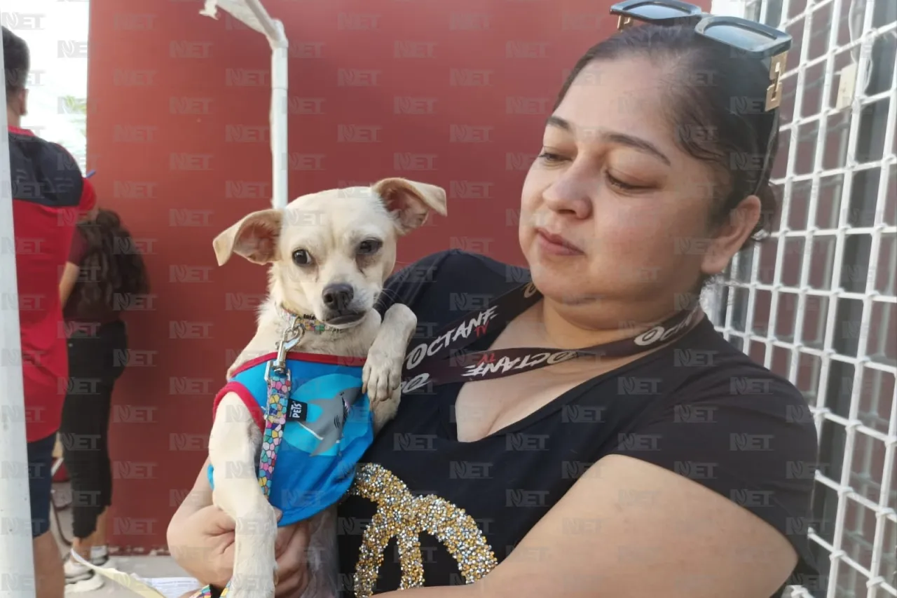 Vecinos llevan a esterilizar a sus mascotas en Granjas de Chapultepec
