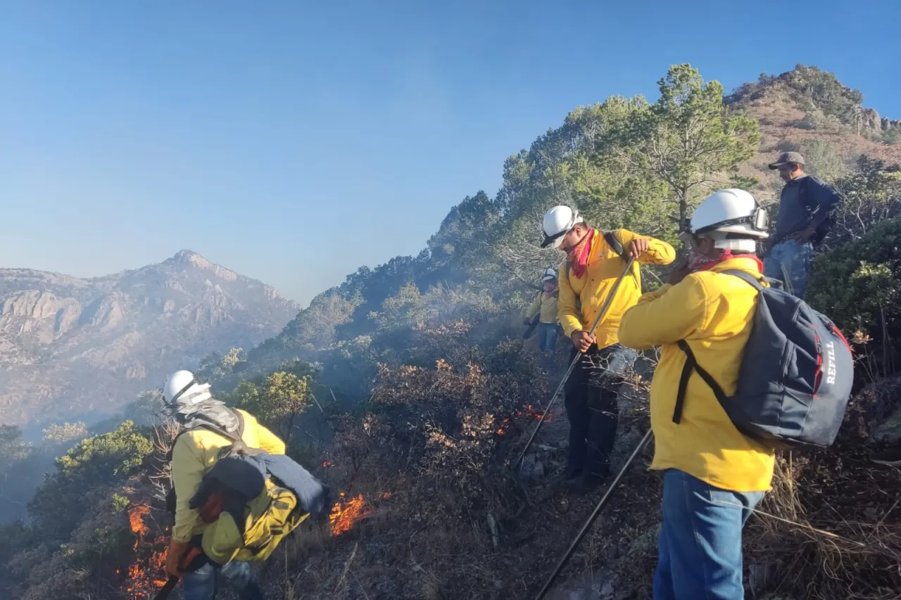 Liquidan incendios forestales en Chihuahua