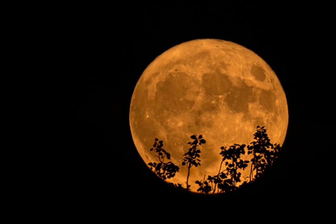 Luna de Ciervo; qué es y cuando podremos apreciarla este mes