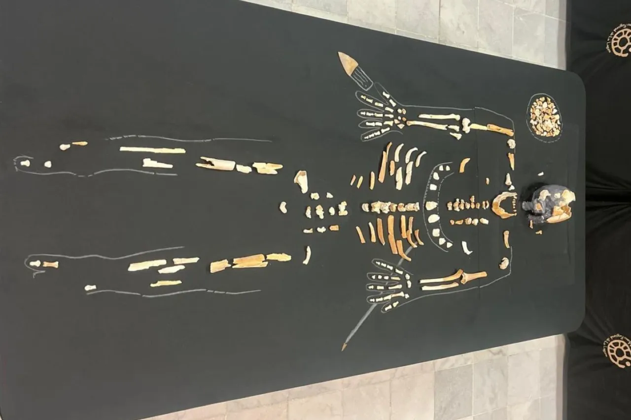 El hombre de Bilbao, el esqueleto que reveló un sitio arqueológico en Coahuila