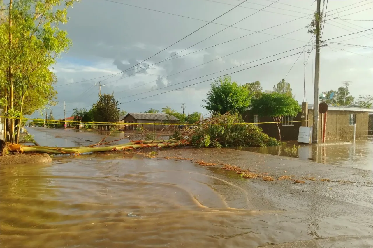 ¿Se inundó tu casa? Dan apoyo de 35 mil pesos a damnificados