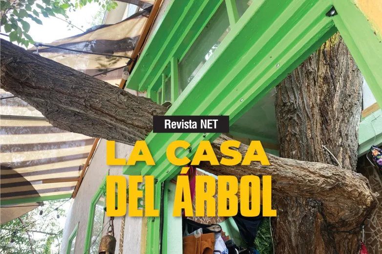 La casa del árbol en Juárez