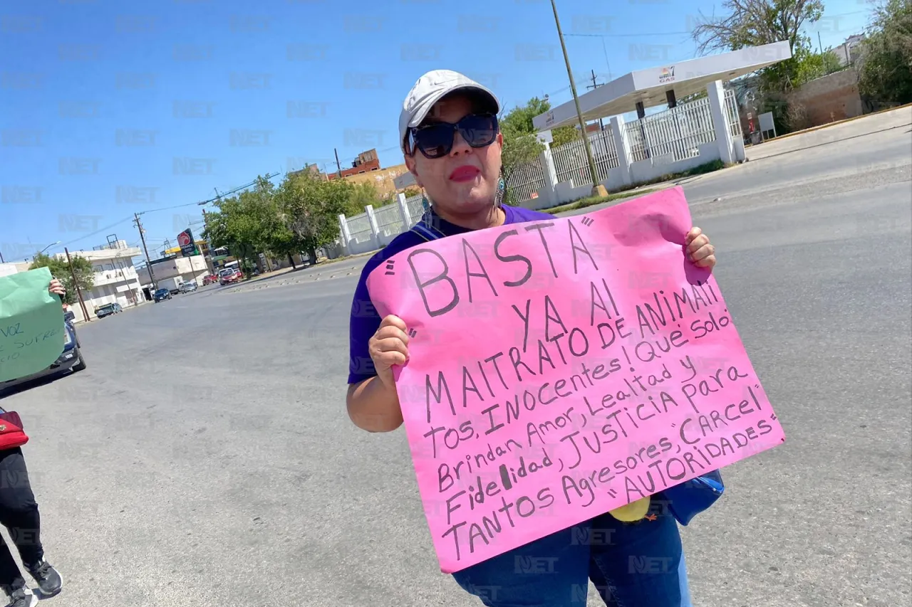 Marchan contra el maltrato animal en Juárez