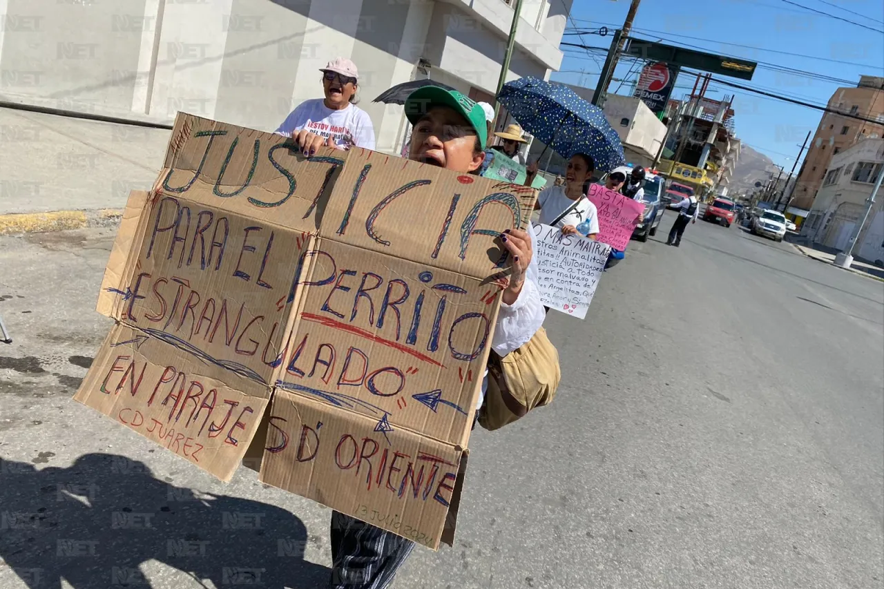 Marchan contra el maltrato animal en Juárez