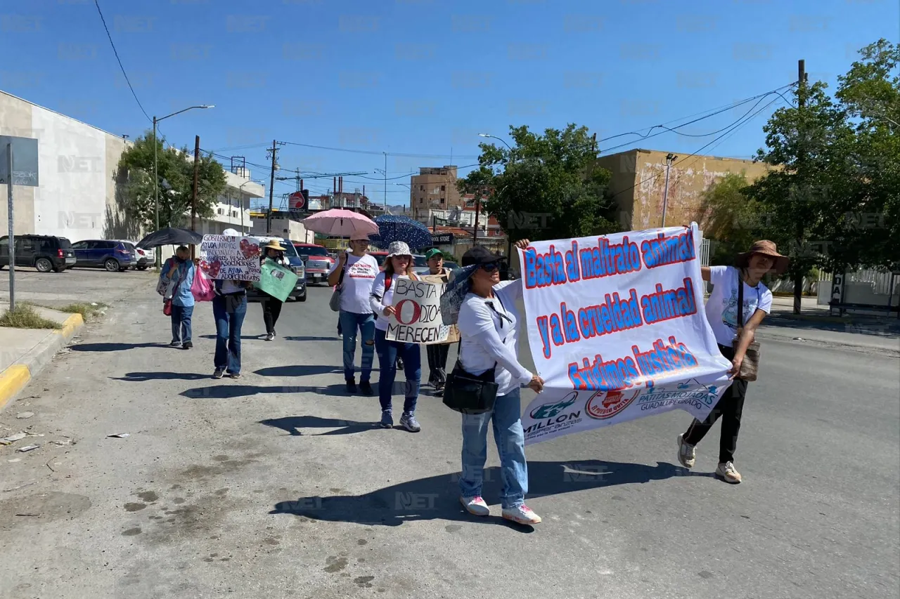 Marchan contra el maltrato animal en Juárez