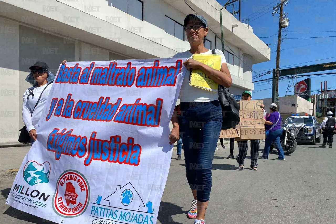 Marchan contra el maltrato animal en Juárez