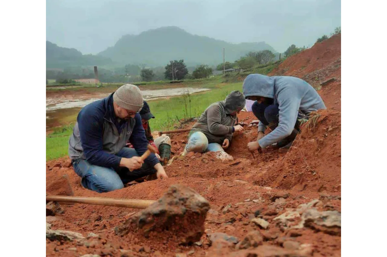 Descubren fósil de dinosaurio tras fuertes lluvias en Brasil