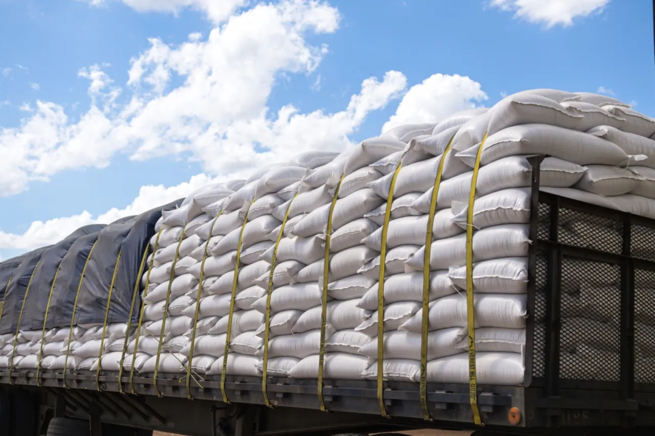 Entrega Maru Campos apoyos alimentarios en Guerrero