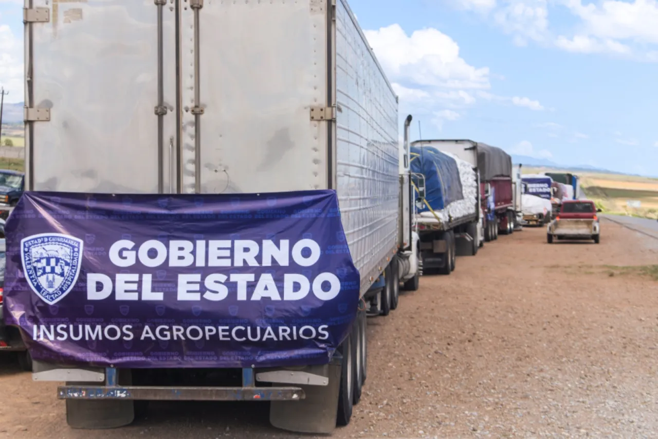 Entrega Maru Campos apoyos alimentarios en Guerrero
