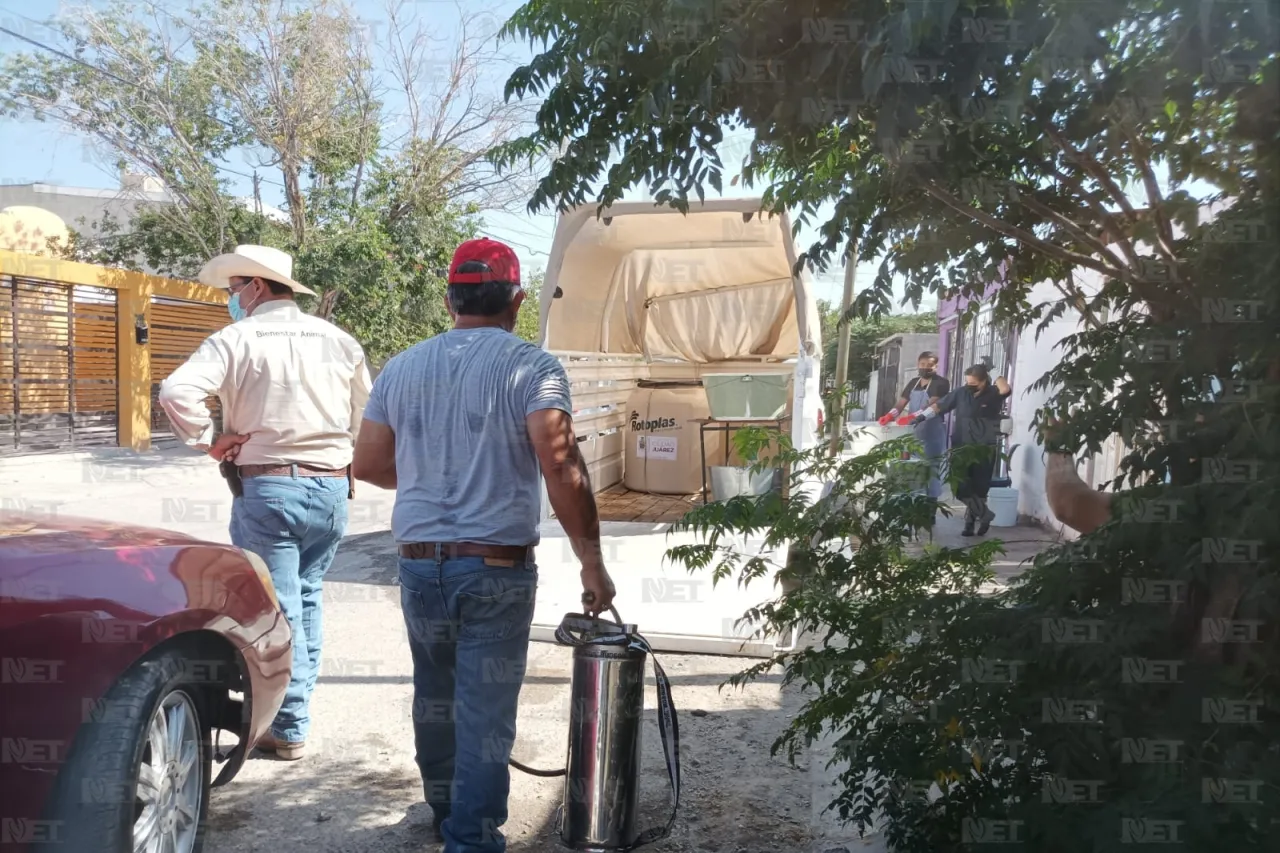 Realizarán fumigación contra garrapatas en Samalayuca