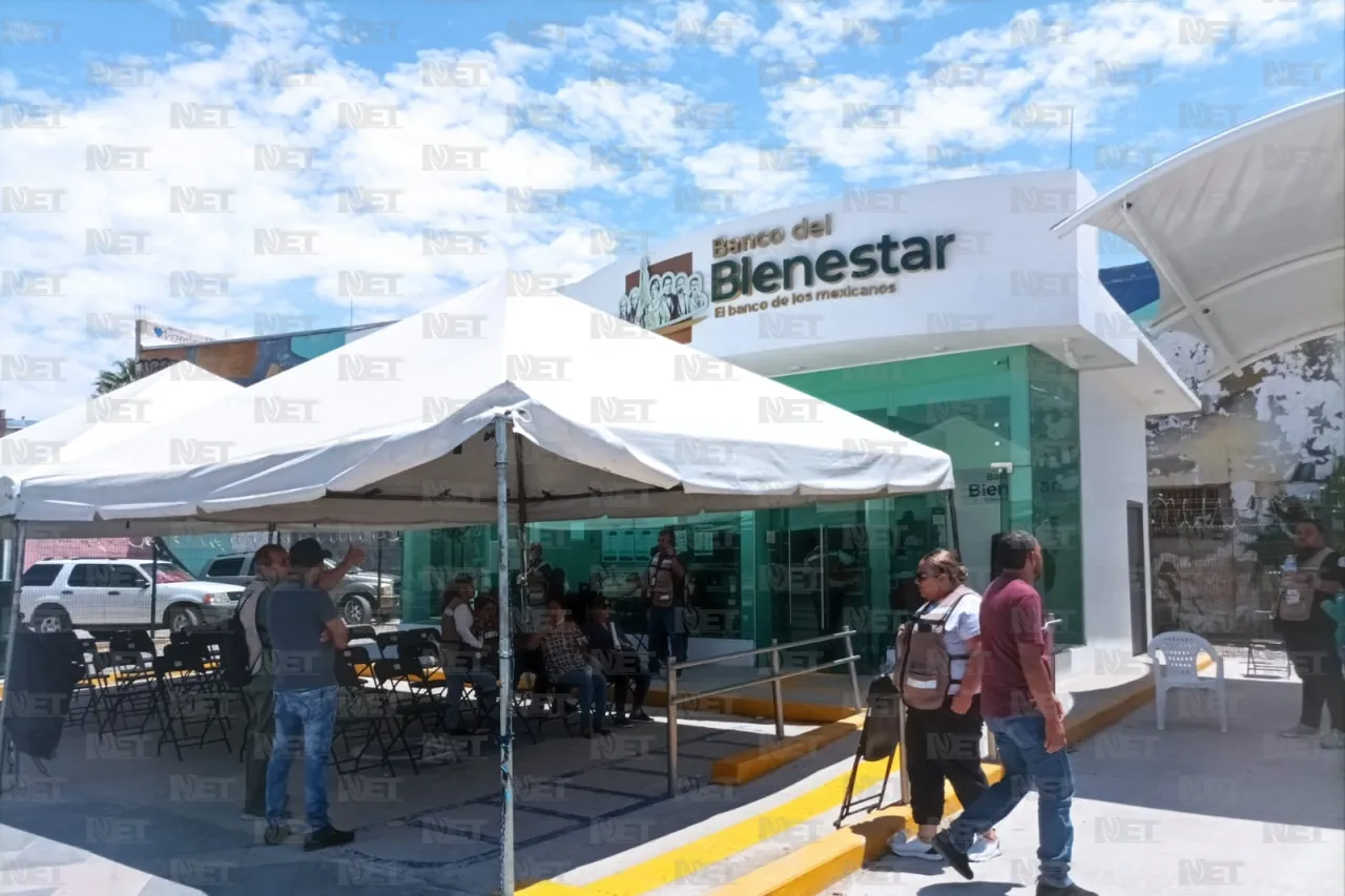 ¿No cobraste tu Pensión del Bienestar? Aquí te contamos qué puedes hacer