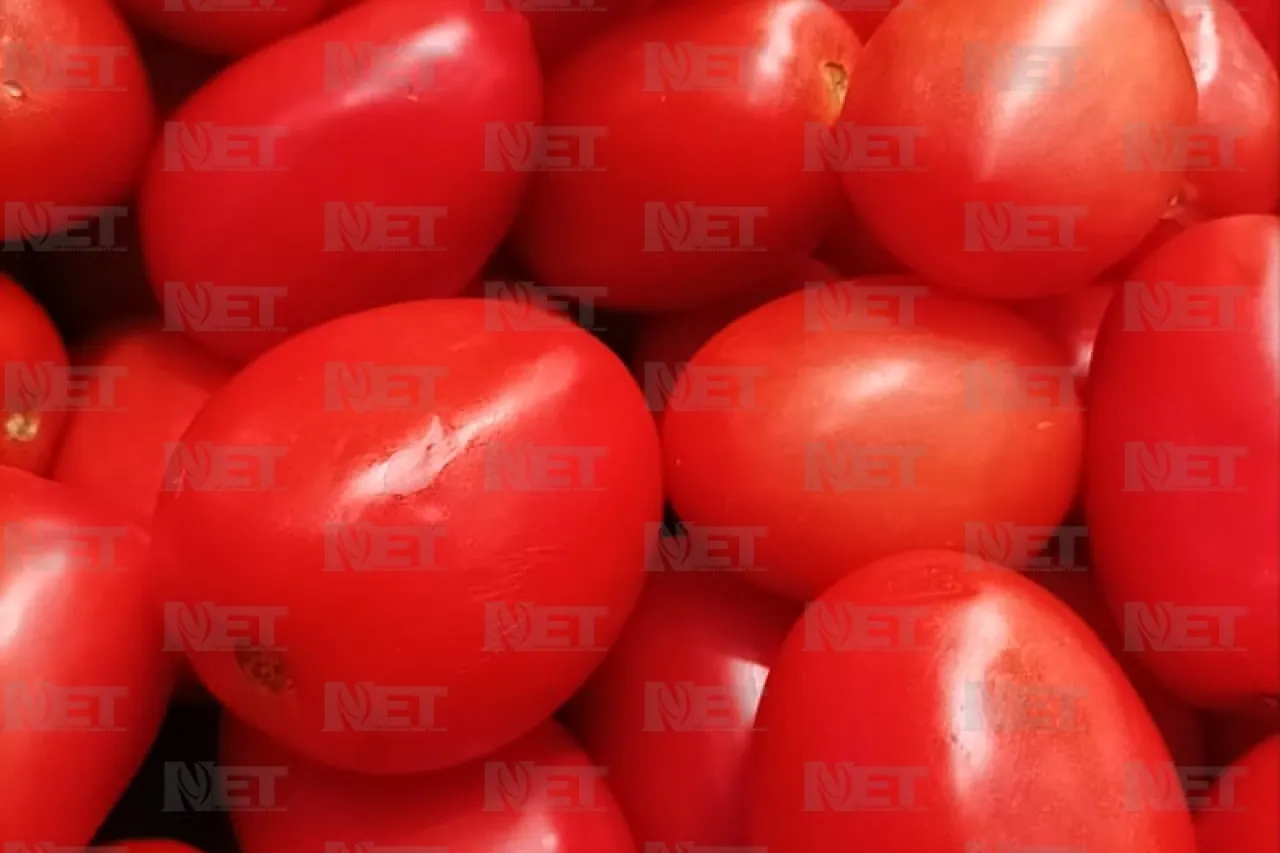 Está el tomate ‘por las nubes’ en Juárez