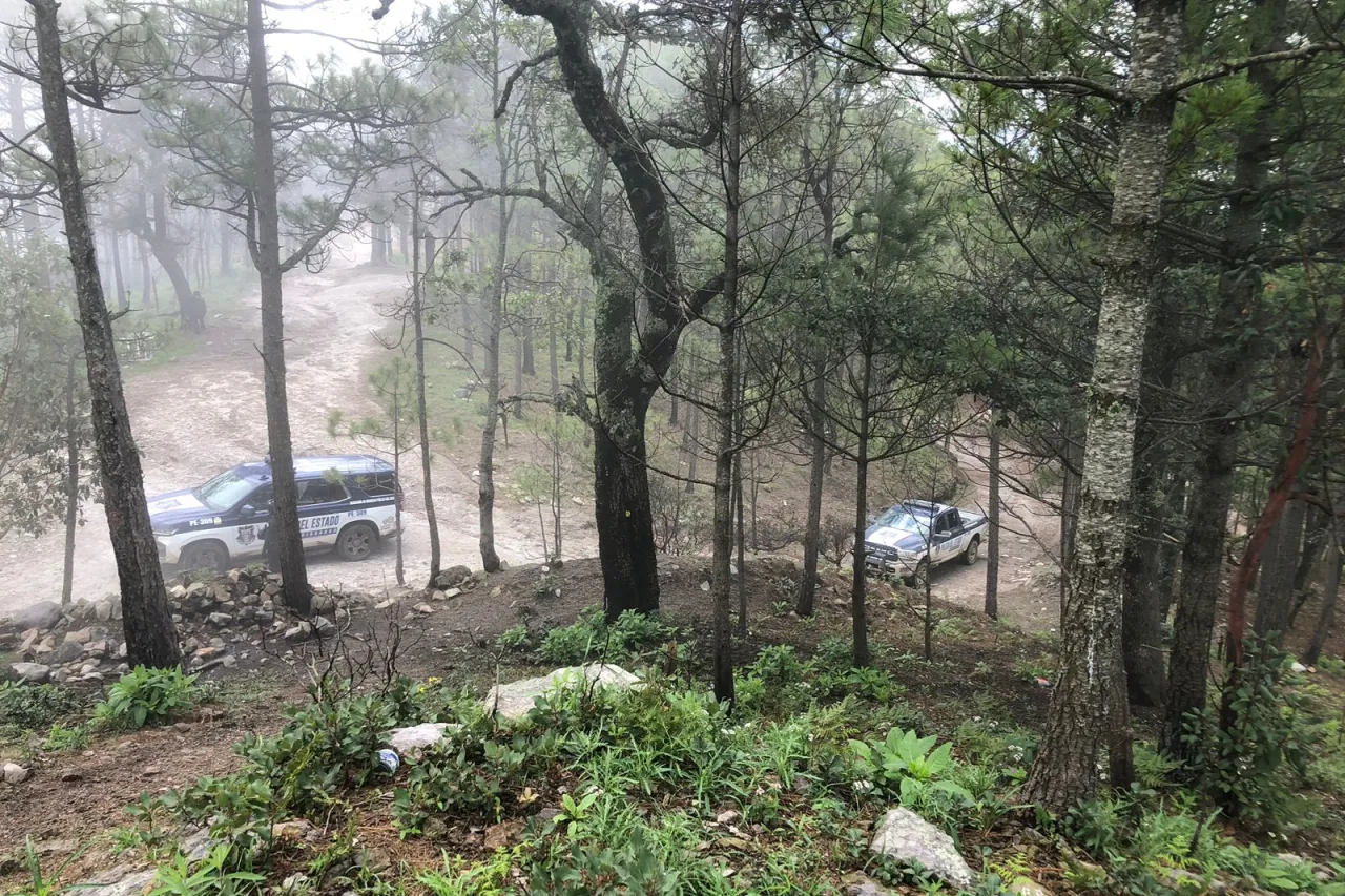 Destruyen narcocampamento en Guadalupe y Calvo