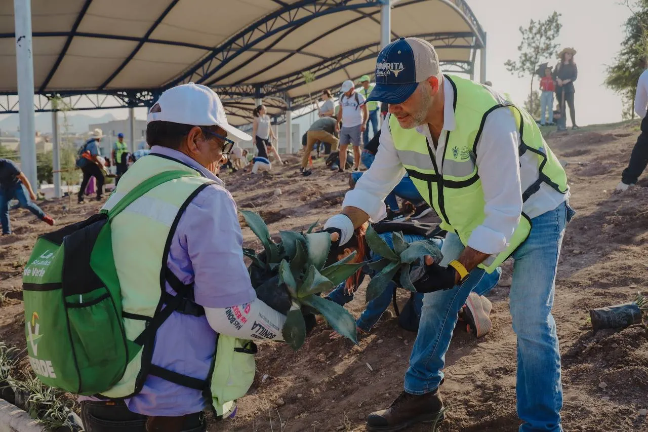 Reforestan el parque El Palomar y talud de La Cantera
