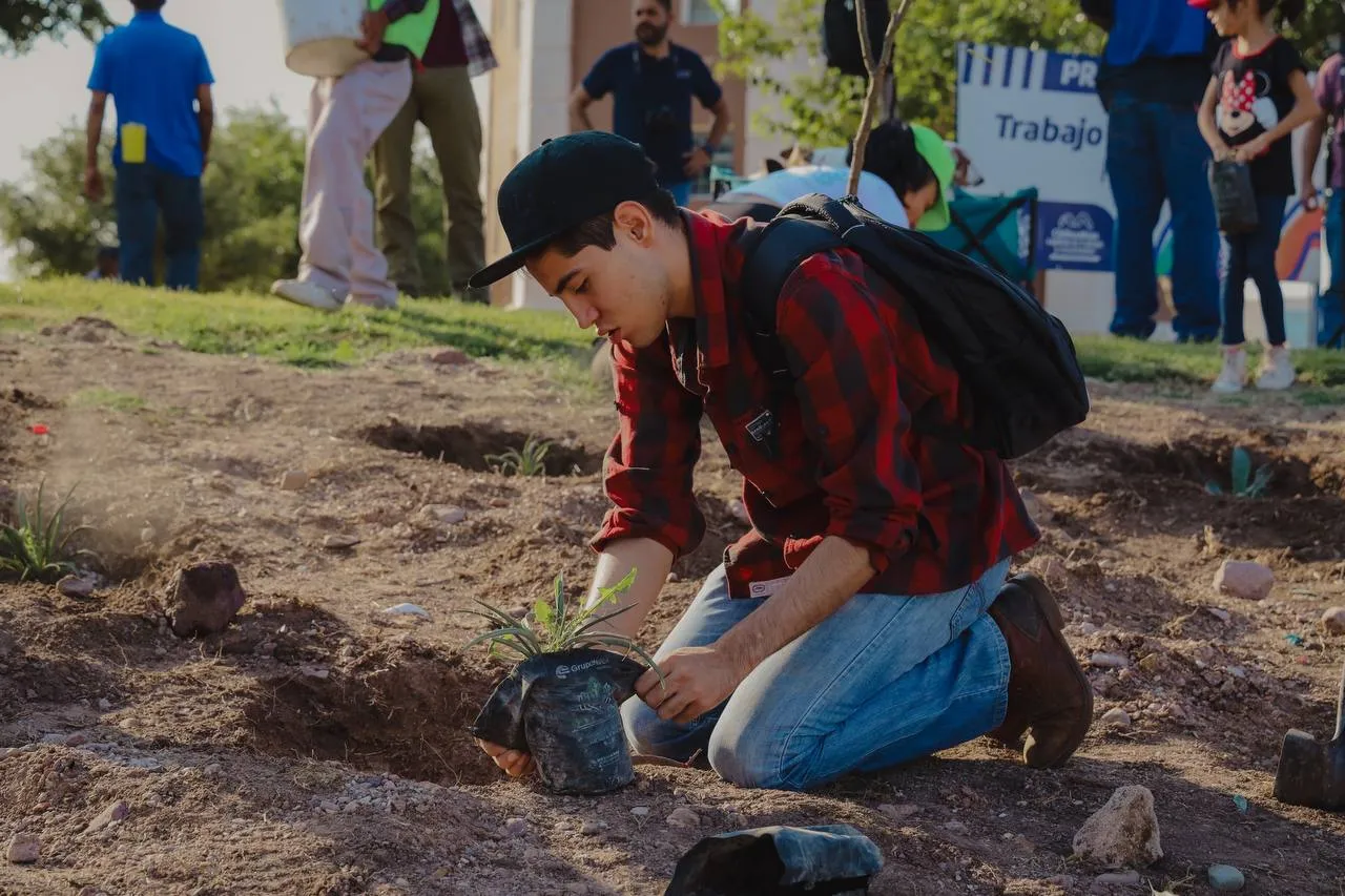Reforestan el parque El Palomar y talud de La Cantera