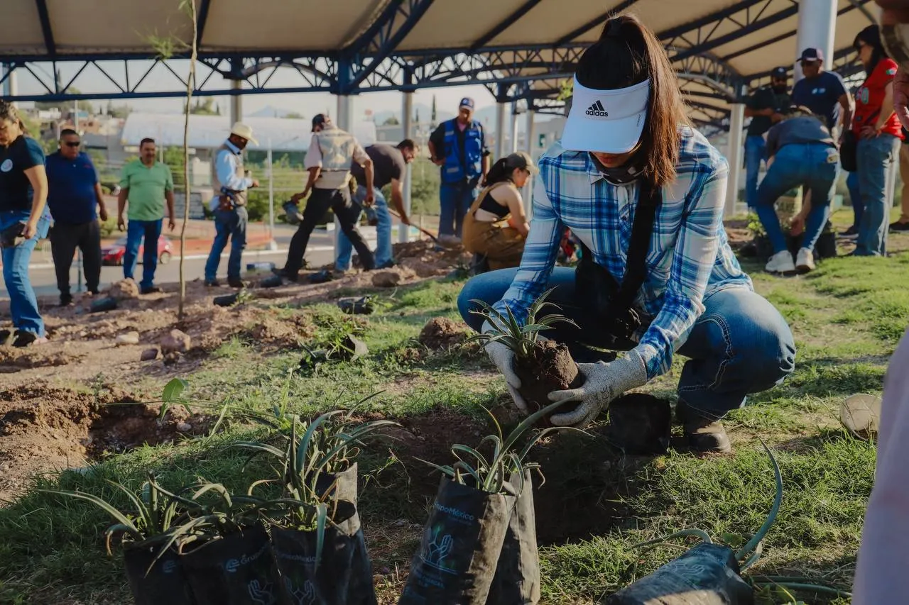 Reforestan el parque El Palomar y talud de La Cantera