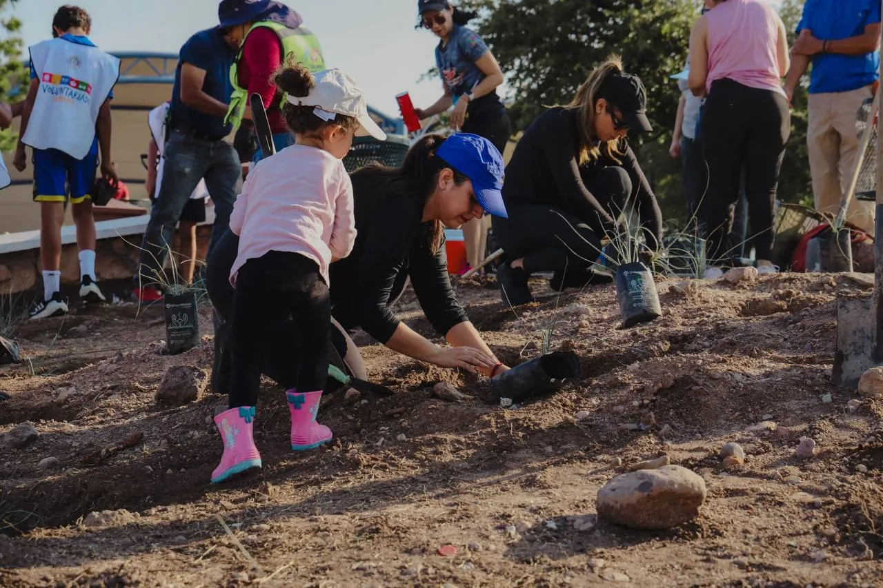 Reforestan el parque El Palomar y talud de La Cantera