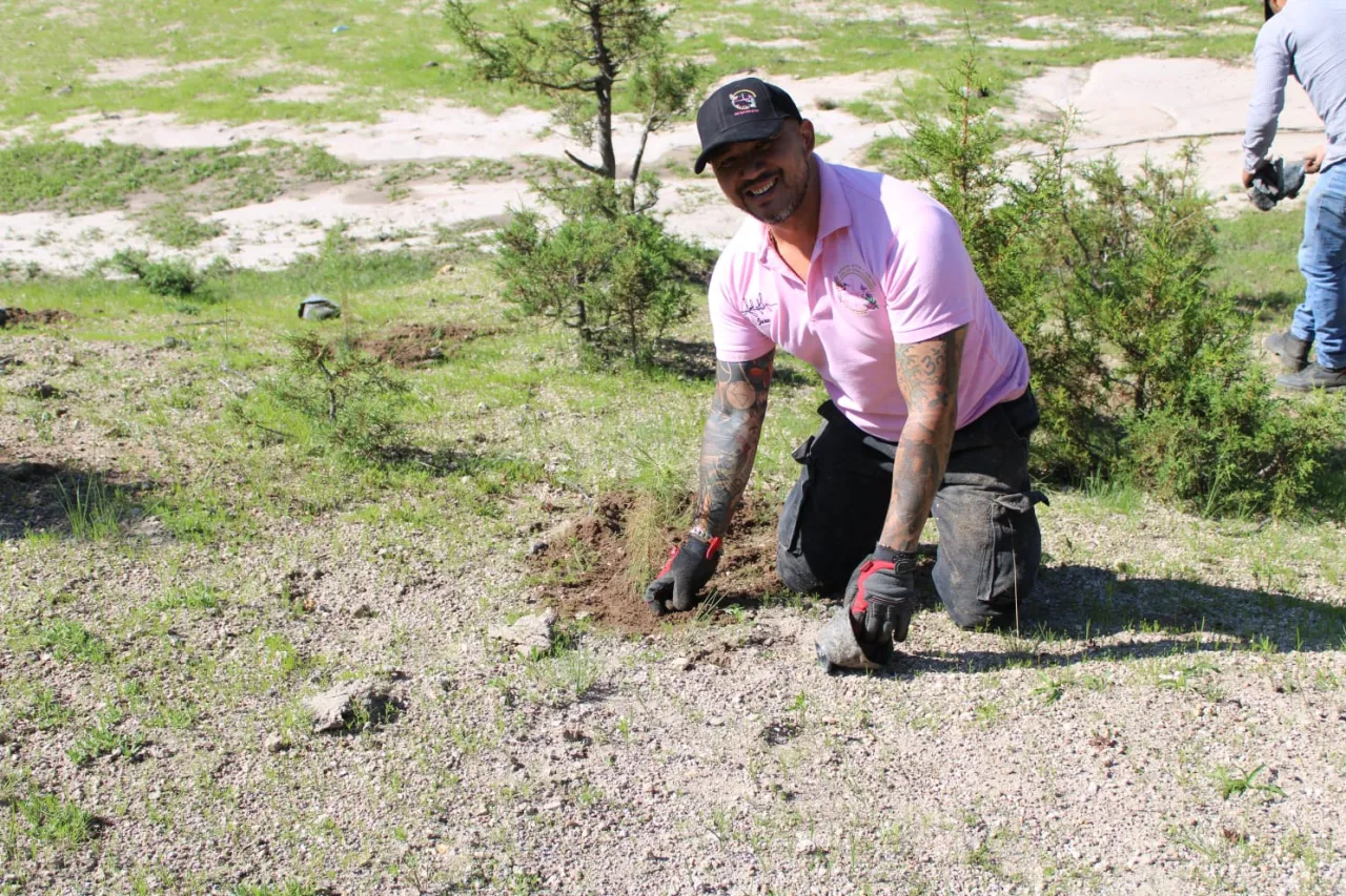 Siembra fundación juarense más de 8 mil pinos en la sierra