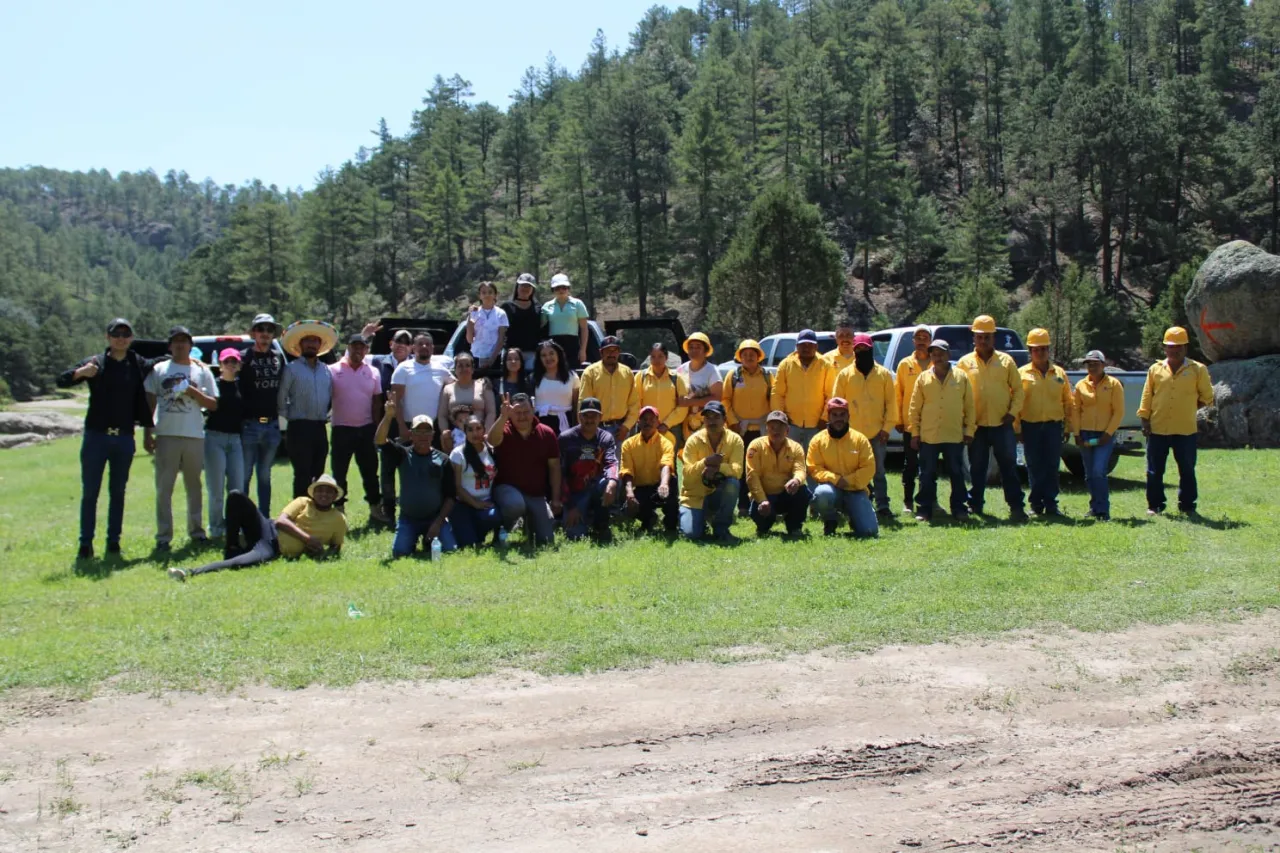 Siembra fundación juarense más de 8 mil pinos en la sierra