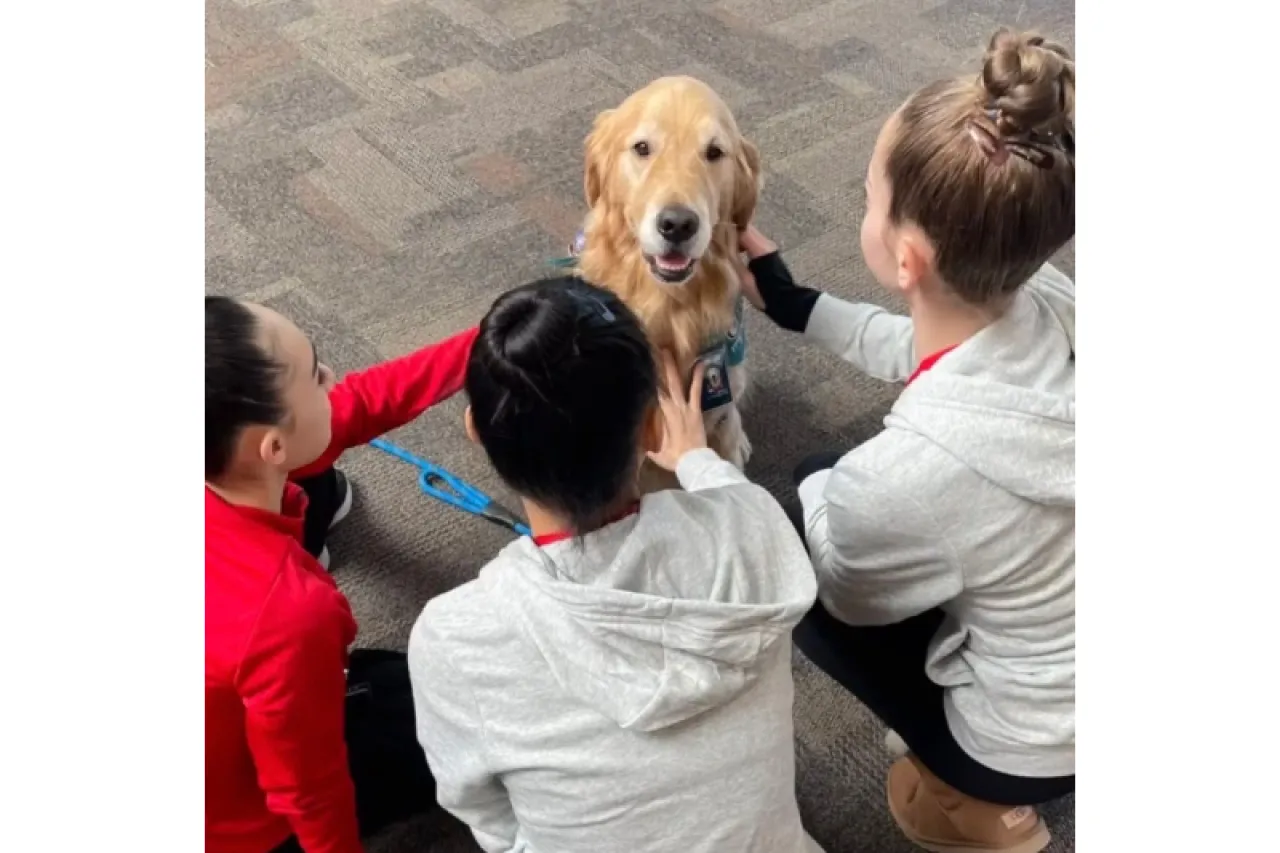 ‘Beacon’, el perro que alivia el estrés de gimnastas estadunidenses