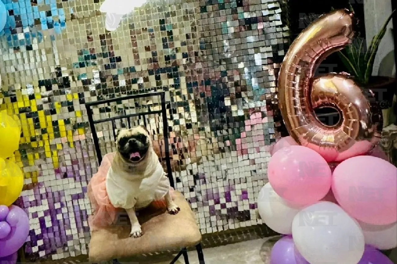 Familia juarense festeja a su mascota con una fiesta muy 'perrona'