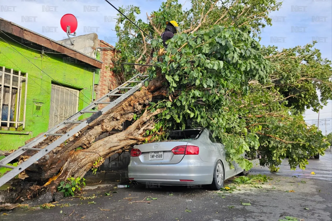 Minutos de lluvia dejaron un muerto, árbol derribado, fallas en semáforos y más