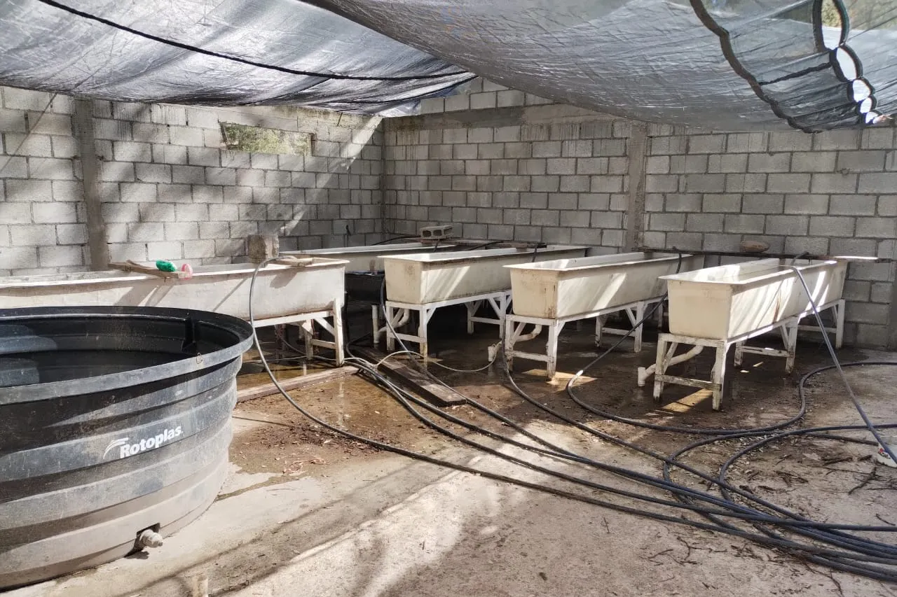 Chihuahua: Buscan que emerja la actividad acuícola y pesquera