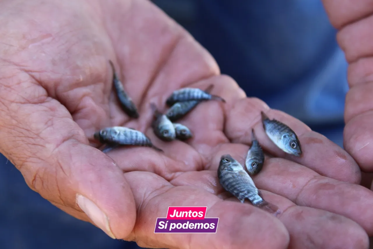 Chihuahua: Buscan que emerja la actividad acuícola y pesquera