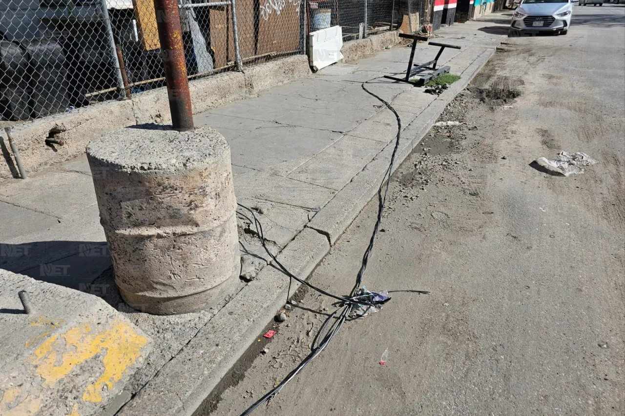 Temen por cable de electricidad cortado por árbol caído