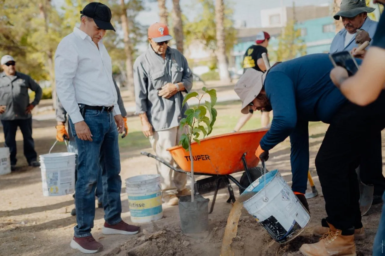 Reforesta Alejandro Pérez Cuéllar parques en Ciudad Juárez