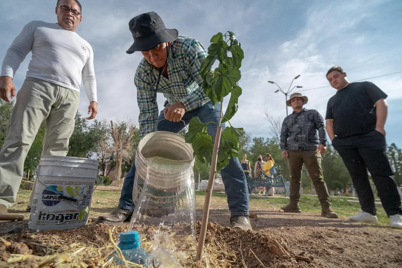 Reforesta Alejandro Pérez Cuéllar parques en Ciudad Juárez