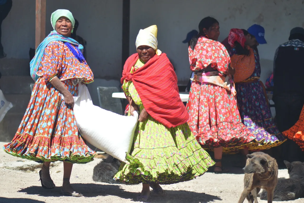 Beneficia Juntos por la Sierra Tarahumara a más de 77 mil familias
