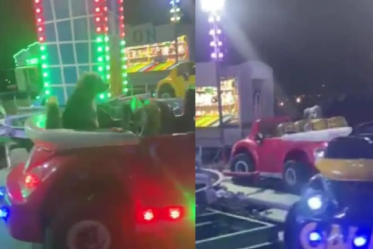 Video: ‘Chocholita’ se da un ‘volteón’ por feria de Riberas y conquista TikTok