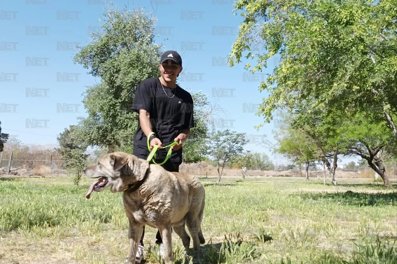 Invita RAMM a pasear y adoptar mascotas este fin de semana