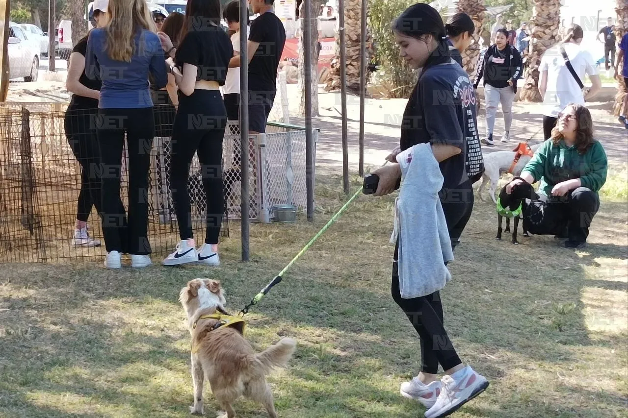 Invita RAMM a pasear y adoptar mascotas este fin de semana