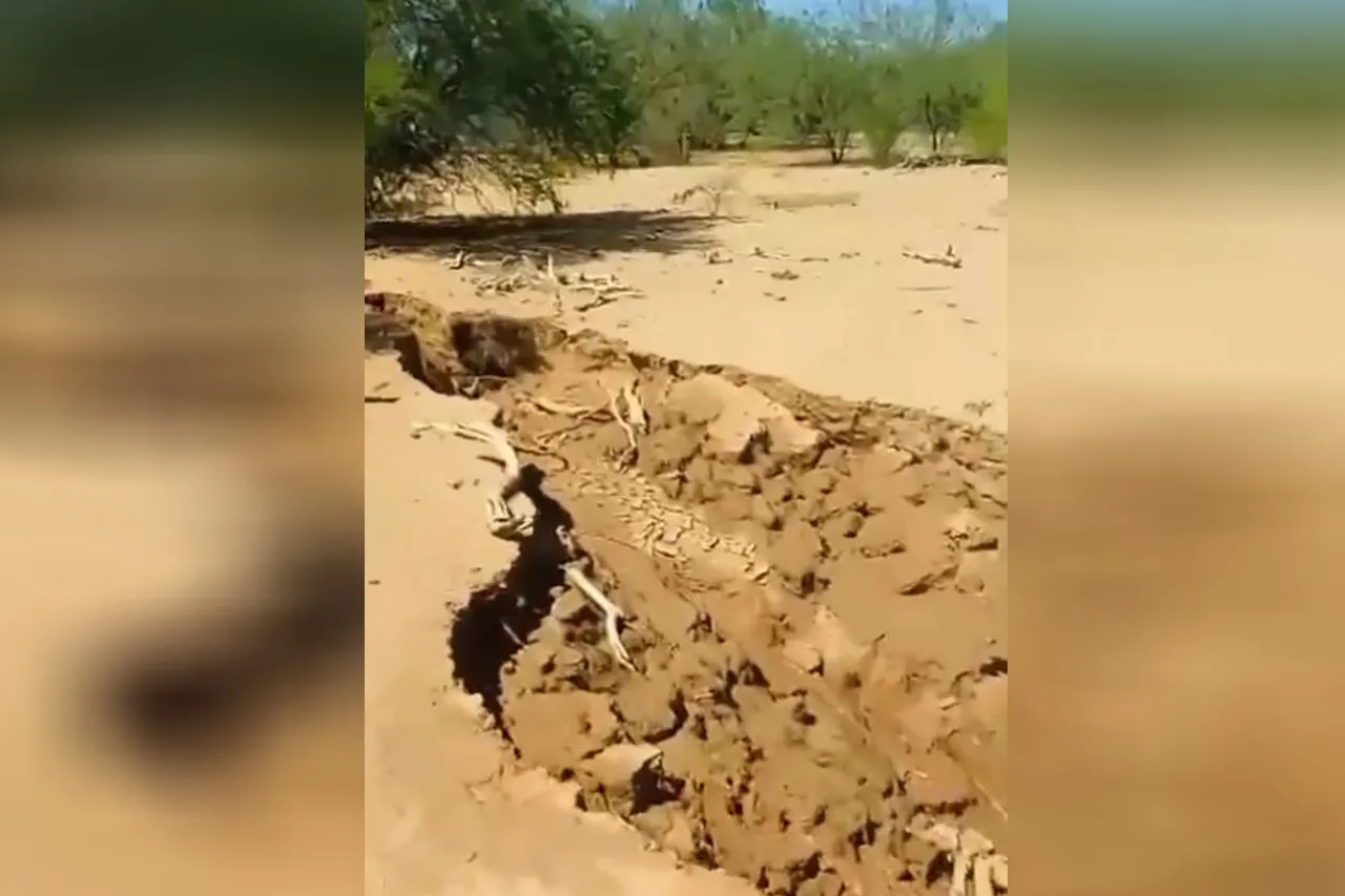 Video: Grieta enorme se 'traga' a becerros en Sonora