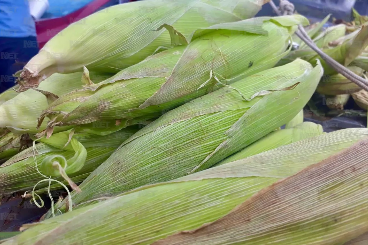 Último día de las Feria de las hortalizas en Samalayuca